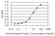 CALU / Calumenin Antibody - Detection limit for recombinant GST tagged CALU is 0.1 ng/ml as a capture antibody.