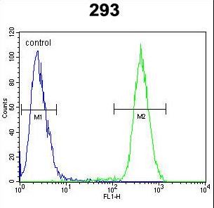 CAMLG / CAML Antibody - CAMLG Antibody flow cytometry of 293 cells (right histogram) compared to a negative control cell (left histogram). FITC-conjugated goat-anti-rabbit secondary antibodies were used for the analysis.