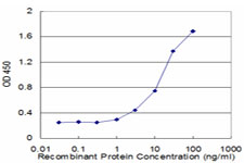 CAMLG / CAML Antibody - Detection limit for recombinant GST tagged CAMLG is approximately 1 ng/ml as a capture antibody.