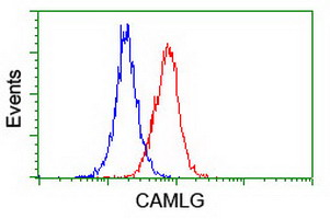 CAMLG / CAML Antibody - Flow cytometry of Jurkat cells, using anti-CAMLG antibody (Red), compared to a nonspecific negative control antibody (Blue).