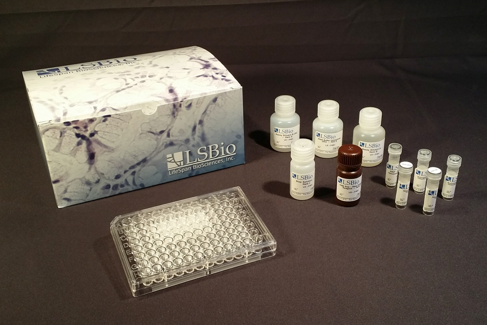 IL-1B / IL-1 Beta ELISA Kit