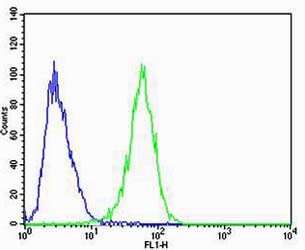 CAPN6 / Calpain 6 Antibody - Flow cytometric of A549 cells using CAPN6 Antibody (green, Cat#) compared to an isotype control of mouse IgG1(blue). was diluted at 1:25 dilution. An Alexa Fluor 488 goat anti-mouse lgG at 1:400 dilution was used as the secondary antibody.