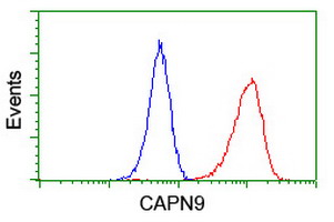 CAPN9 / Calpain 9 Antibody - Flow cytometry of Jurkat cells, using anti-CAPN9 antibody (Red), compared to a nonspecific negative control antibody (Blue).