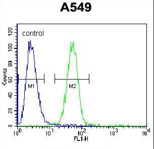 CARD16 / COP Antibody - COP1 Antibody flow cytometry of A549 cells (right histogram) compared to a negative control cell (left histogram). FITC-conjugated goat-anti-rabbit secondary antibodies were used for the analysis.
