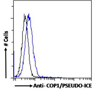 CARD16 / COP Antibody - CARD16 / COP antibody flow cytometric analysis of paraformaldehyde fixed A549 cells (blue line), permeabilized with 0.5% Triton. Primary incubation 1hr (10ug/ml) followed by Alexa Fluor 488 secondary antibody (1ug/ml). IgG control: Unimmunized goat IgG (black line) followed by Alexa Fluor 488 secondary antibody.