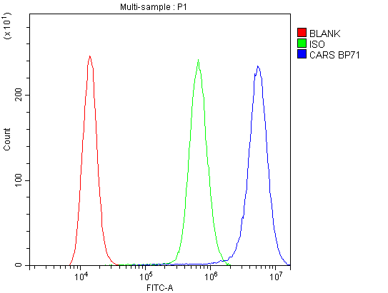 CARS1 / CARS Antibody - Flow Cytometry analysis of A431 cells using anti-CARS antibody. Overlay histogram showing A431 cells stained with anti-CARS antibody (Blue line). The cells were blocked with 10% normal goat serum. And then incubated with rabbit anti-CARS Antibody (1µg/10E6 cells) for 30 min at 20°C. DyLight®488 conjugated goat anti-rabbit IgG (5-10µg/10E6 cells) was used as secondary antibody for 30 minutes at 20°C. Isotype control antibody (Green line) was rabbit IgG (1µg/10E6 cells) used under the same conditions. Unlabelled sample (Red line) was also used as a control.