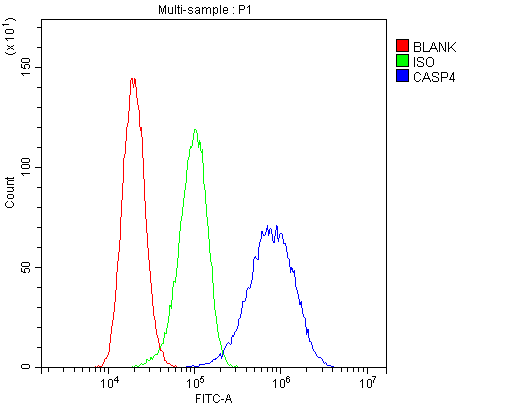 CASP4 / Caspase 4 Antibody - Flow Cytometry analysis of A431 cells using anti-Caspase 4 antibody. Overlay histogram showing A431 cells stained with anti-Caspase 4 antibody (Blue line). The cells were blocked with 10% normal goat serum. And then incubated with rabbit anti-Caspase 4 Antibody (1µg/10E6 cells) for 30 min at 20°C. DyLight®488 conjugated goat anti-rabbit IgG (5-10µg/10E6 cells) was used as secondary antibody for 30 minutes at 20°C. Isotype control antibody (Green line) was rabbit IgG (1µg/10E6 cells) used under the same conditions. Unlabelled sample (Red line) was also used as a control.