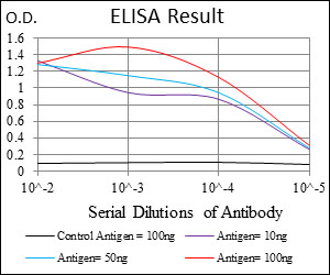CASP7 / Caspase 7 Antibody - Black line: Control Antigen (100 ng);Purple line: Antigen(10ng);Blue line: Antigen (50 ng);Red line: Antigen (100 ng);