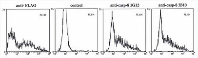CASP8 / Caspase 8 Antibody - Flow cytometry data in permeabilized cells of overexpressed FLAG-tagged pro-caspase-8 (active-site-mutant) in 293T cells using anti-caspase-8 mAbs (1G12) , anti-FLAG or control. As a positive control staining with a MAb to FLAG was performed. As a negative control an isotype control was employed.