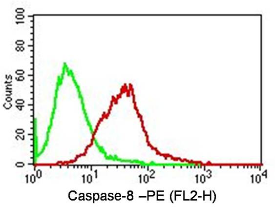 CASP8 / Caspase 8 Antibody - Fig-3: Intracellular Flow analysis of Caspase-8 antibody in Jurkat cells using 0.5 µg/ 10^6 cells of anti-Caspase-8 antibody. Green represents isotype control; red represents anti-Caspase-8 antibody. Goat anti-mouse PE conjugate was used as secondary antibody. (Cells were fixed with 4% paraformaldehyde for 10 min and washed with PBS by centrifuging at 1100 for 5 min followed by permeabilization for 20 min and washed again as mentioned above. Then cell were incubated with primary antibody for 45 min. and after washing the cells twice in PBS, incubated with conjugated secondary antibody for 30 min. Data acquisition was done after washing twice with PBS as mentioned above).