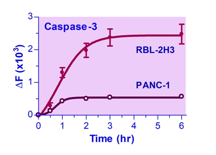 Caspase 3 Substrate Assay Kit