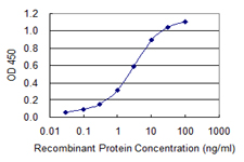 CAST / Calpastatin Antibody - Detection limit for recombinant GST tagged CAST is 0.03 ng/ml as a capture antibody.