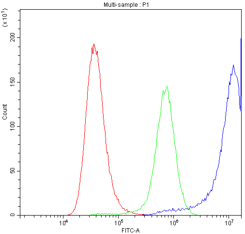 CAST / Calpastatin Antibody - Flow Cytometry analysis of A549 cells using anti-Calpastatin antibody. Overlay histogram showing A549 cells stained with anti-Calpastatin antibody (Blue line). The cells were blocked with 10% normal goat serum. And then incubated with rabbit anti-Calpastatin Antibody (1µg/10E6 cells) for 30 min at 20°C. DyLight®488 conjugated goat anti-rabbit IgG (5-10µg/10E6 cells) was used as secondary antibody for 30 minutes at 20°C. Isotype control antibody (Green line) was rabbit IgG (1µg/10E6 cells) used under the same conditions. Unlabelled sample (Red line) was also used as a control.