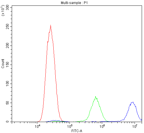 CAST / Calpastatin Antibody - Flow Cytometry analysis of U20S cells using anti-Calpastatin antibody. Overlay histogram showing U20S cells stained with anti-Calpastatin antibody (Blue line). The cells were blocked with 10% normal goat serum. And then incubated with rabbit anti-Calpastatin Antibody (1µg/10E6 cells) for 30 min at 20°C. DyLight®488 conjugated goat anti-rabbit IgG (5-10µg/10E6 cells) was used as secondary antibody for 30 minutes at 20°C. Isotype control antibody (Green line) was rabbit IgG (1µg/10E6 cells) used under the same conditions. Unlabelled sample (Red line) was also used as a control.