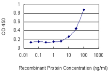 CAT / Catalase Antibody - Detection limit for recombinant GST tagged CAT is 1 ng/ml as a capture antibody.