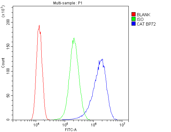 CAT / Catalase Antibody - Flow Cytometry analysis of SiHa cells using anti-Catalase antibody. Overlay histogram showing SiHa cells stained with anti-Catalase antibody (Blue line). The cells were blocked with 10% normal goat serum. And then incubated with rabbit anti-Catalase Antibody (1µg/10E6 cells) for 30 min at 20°C. DyLight®488 conjugated goat anti-rabbit IgG (5-10µg/10E6 cells) was used as secondary antibody for 30 minutes at 20°C. Isotype control antibody (Green line) was rabbit IgG (1µg/10E6 cells) used under the same conditions. Unlabelled sample (Red line) was also used as a control.