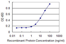 CAV3 / Caveolin 3 Antibody - Detection limit for recombinant GST tagged CAV3 is 0.3 ng/ml as a capture antibody.