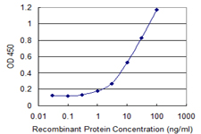 CBFA2T2 / MTGR1 Antibody - Detection limit for recombinant GST tagged CBFA2T2 is 0.3 ng/ml as a capture antibody.