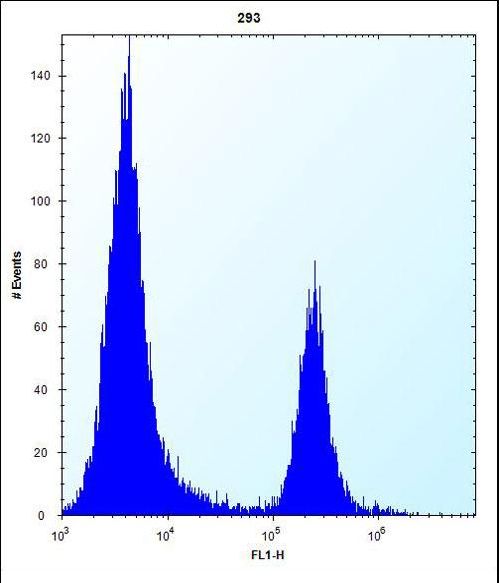 CBR3 Antibody - CBR3 Antibody flow cytometry of 293 cells (right histogram) compared to a negative control cell (left histogram). FITC-conjugated goat-anti-rabbit secondary antibodies were used for the analysis.