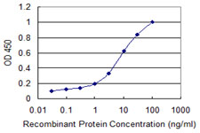 CBR3 Antibody - Detection limit for recombinant GST tagged CBR3 is 0.3 ng/ml as a capture antibody.