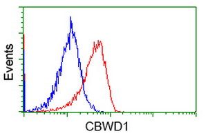 CBWD1 Antibody - Flow cytometry of Jurkat cells, using anti-CBWD1 antibody, (Red), compared to a nonspecific negative control antibody, (Blue).