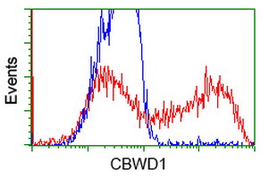 CBWD1 Antibody - HEK293T cells transfected with either overexpress plasmid (Red) or empty vector control plasmid (Blue) were immunostained by anti-CBWD1 antibody, and then analyzed by flow cytometry.