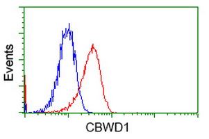 CBWD1 Antibody - Flow cytometric Analysis of Jurkat cells, using anti-CBWD1 antibody, (Red), compared to a nonspecific negative control antibody, (Blue).