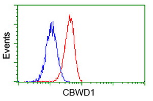 CBWD1 Antibody - Flow cytometry of Jurkat cells, using anti-CBWD1 antibody, (Red), compared to a nonspecific negative control antibody, (Blue).