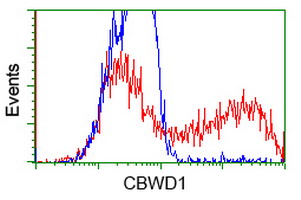 CBWD1 Antibody - HEK293T cells transfected with either overexpress plasmid (Red) or empty vector control plasmid (Blue) were immunostained by anti-CBWD1 antibody, and then analyzed by flow cytometry.
