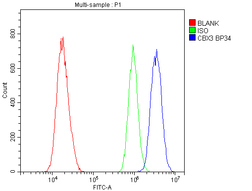 CBX3 / HP1 Gamma Antibody - Flow Cytometry analysis of A431 cells using anti-HP1 gamma antibody. Overlay histogram showing A431 cells stained with anti-HP1 gamma antibody (Blue line). The cells were blocked with 10% normal goat serum. And then incubated with rabbit anti-HP1 gamma Antibody (1µg/10E6 cells) for 30 min at 20°C. DyLight®488 conjugated goat anti-rabbit IgG (5-10µg/10E6 cells) was used as secondary antibody for 30 minutes at 20°C. Isotype control antibody (Green line) was rabbit IgG (1µg/10E6 cells) used under the same conditions. Unlabelled sample (Red line) was also used as a control.