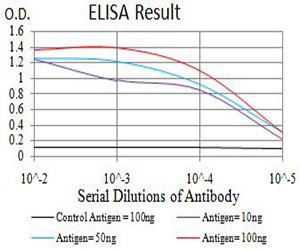 CBX7 Antibody - Black line: Control Antigen (100 ng);Purple line: Antigen (10ng); Blue line: Antigen (50 ng); Red line:Antigen (100 ng)