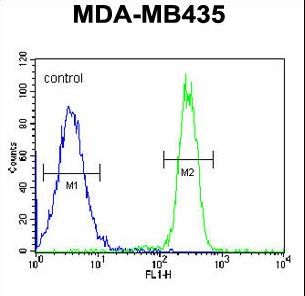 CCDC101 Antibody - SGF29 Antibody flow cytometry of MDA-MB435 cells (right histogram) compared to a negative control cell (left histogram). FITC-conjugated goat-anti-rabbit secondary antibodies were used for the analysis.