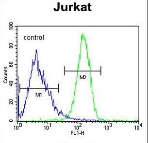 CCDC106 Antibody - CC106 Antibody flow cytometry of Jurkat cells (right histogram) compared to a negative control cell (left histogram). FITC-conjugated goat-anti-rabbit secondary antibodies were used for the analysis.
