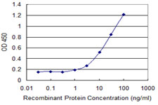 CCDC115 Antibody - Detection limit for recombinant GST tagged CCDC115 is 0.3 ng/ml as a capture antibody.