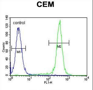 CCDC122 Antibody - CCDC122 Antibody flow cytometry of CEM cells (right histogram) compared to a negative control cell (left histogram). FITC-conjugated goat-anti-rabbit secondary antibodies were used for the analysis.