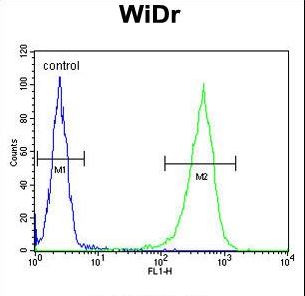 CCDC3 Antibody - CCDC3 Antibody flow cytometry of WiDr cells (right histogram) compared to a negative control cell (left histogram). FITC-conjugated goat-anti-rabbit secondary antibodies were used for the analysis.