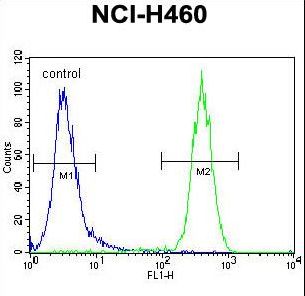 CCDC63 Antibody - CCDC63 Antibody flow cytometry of NCI-H460 cells (right histogram) compared to a negative control cell (left histogram). FITC-conjugated goat-anti-rabbit secondary antibodies were used for the analysis.