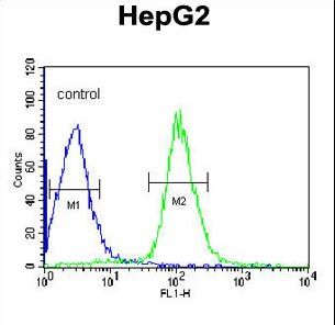 CCDC85B Antibody - DIPA Antibody flow cytometry of HepG2 cells (right histogram) compared to a negative control cell (left histogram). FITC-conjugated goat-anti-rabbit secondary antibodies were used for the analysis.