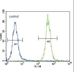 CCDC85C Antibody - CC85C Antibody flow cytometry of 293 cells (right histogram) compared to a negative control cell (left histogram). FITC-conjugated goat-anti-rabbit secondary antibodies were used for the analysis.