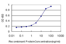 CCK4 / PTK7 Antibody - Detection limit for recombinant GST tagged PTK7 is approximately 1 ng/ml as a capture antibody.