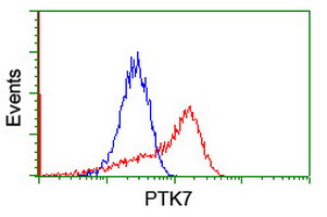 CCK4 / PTK7 Antibody - HEK293T cells transfected with either overexpress plasmid (Red) or empty vector control plasmid (Blue) were immunostained by anti-PTK7 antibody, and then analyzed by flow cytometry.