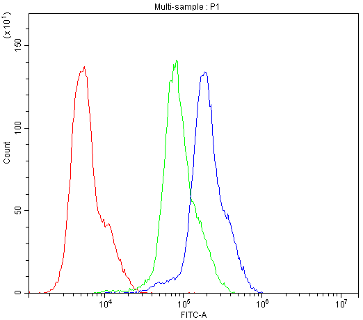 CCKBR / Cckb Antibody - Flow Cytometry analysis of LOVO cells using anti-CCKBR antibody. Overlay histogram showing LOVO cells stained with anti-CCKBR antibody (Blue line). The cells were blocked with 10% normal goat serum. And then incubated with rabbit anti-CCKBR Antibody (1µg/10E6 cells) for 30 min at 20°C. DyLight®488 conjugated goat anti-rabbit IgG (5-10µg/10E6 cells) was used as secondary antibody for 30 minutes at 20°C. Isotype control antibody (Green line) was rabbit IgG (1µg/10E6 cells) used under the same conditions. Unlabelled sample (Red line) was also used as a control.