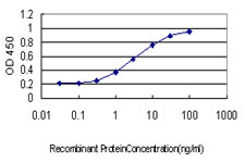 CCL14 Antibody - Detection limit for recombinant GST tagged CCL14 is approximately 0.3 ng/ml as a capture antibody.