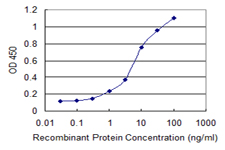 CCL2 / MCP1 Antibody - Detection limit for recombinant GST tagged CCL2 is 0.1 ng/ml as a capture antibody.