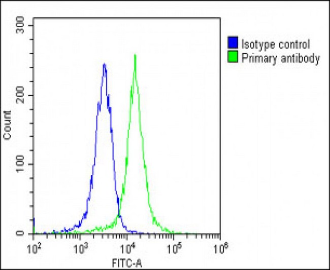 CCL26 / Eotaxin 3 Antibody - Overlay histogram showing K562 cells stained with CCL26 Antibody (C-Term) (green line). The cells were fixed with 2% paraformaldehyde (10 min) and then permeabilized with 90% methanol for 10 min. The cells were then icubated in 2% bovine serum albumin to block non-specific protein-protein interactions followed by the antibody (CCL26 Antibody (C-Term), 1:25 dilution) for 60 min at 37°C. The secondary antibody used was Goat-Anti-Rabbit IgG, DyLight® 488 Conjugated Highly Cross-Adsorbed (1583138) at 1/200 dilution for 40 min at 37°C. Isotype control antibody (blue line) was rabbit IgG1 (1µg/1x10^6 cells) used under the same conditions. Acquisition of >10, 000 events was performed.