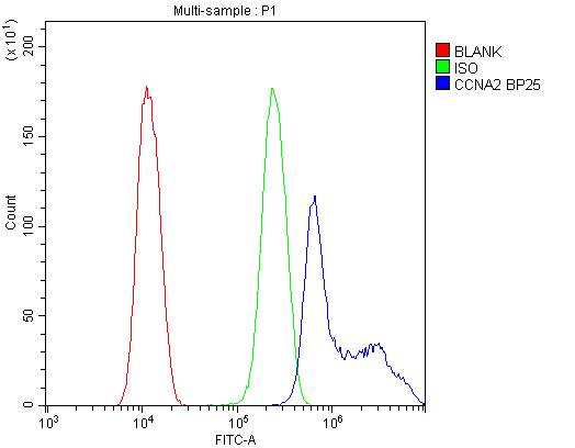 CCNA2 / Cyclin A2 Antibody - Flow Cytometry analysis of U20S cells using anti-Cyclin A2 antibody. Overlay histogram showing U20S cells stained with anti-Cyclin A2 antibody (Blue line). The cells were blocked with 10% normal goat serum. And then incubated with rabbit anti-Cyclin A2 Antibody (1µg/10E6 cells) for 30 min at 20°C. DyLight®488 conjugated goat anti-rabbit IgG (5-10µg/10E6 cells) was used as secondary antibody for 30 minutes at 20°C. Isotype control antibody (Green line) was rabbit IgG (1µg/10E6 cells) used under the same conditions. Unlabelled sample (Red line) was also used as a control.