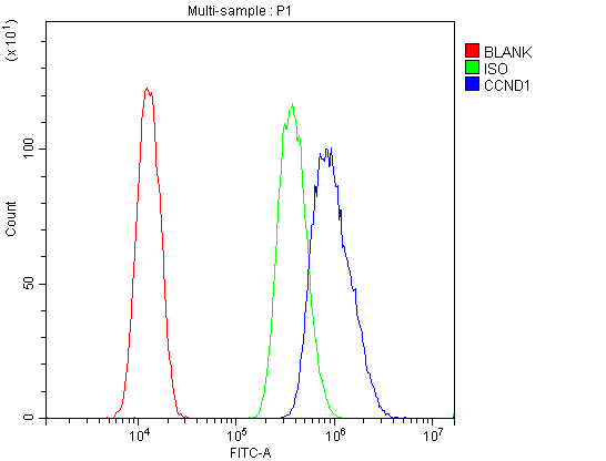 CCND1 / Cyclin D1 Antibody - Flow Cytometry analysis of U-87MG cells using anti-Cyclin D1 antibody. Overlay histogram showing U-87MG cells stained with anti-Cyclin D1 antibody (Blue line). The cells were blocked with 10% normal goat serum. And then incubated with rabbit anti-Cyclin D1 Antibody (1µg/10E6 cells) for 30 min at 20°C. DyLight®488 conjugated goat anti-rabbit IgG (5-10µg/10E6 cells) was used as secondary antibody for 30 minutes at 20°C. Isotype control antibody (Green line) was rabbit IgG (1µg/10E6 cells) used under the same conditions. Unlabelled sample (Red line) was also used as a control.