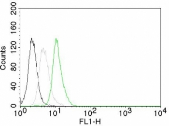 CCND1 / Cyclin D1 Antibody - Flow cytometry of human Jurkat cells. Black: cells alone; Grey: isotype control; Green: AF488-labeled Cyclin D1 antibody (CCND1/809).  This image was taken for the unmodified form of this product. Other forms have not been tested.