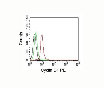 CCND1 / Cyclin D1 Antibody - Flow cytometry Cyclin D1 antibody Jurkat.  This image was taken for the unmodified form of this product. Other forms have not been tested.