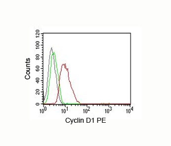 CCND1 / Cyclin D1 Antibody - Flow cytometry Cyclin D1 antibody MCF-7.  This image was taken for the unmodified form of this product. Other forms have not been tested.